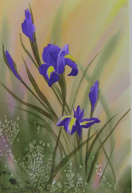 Iris - Flower